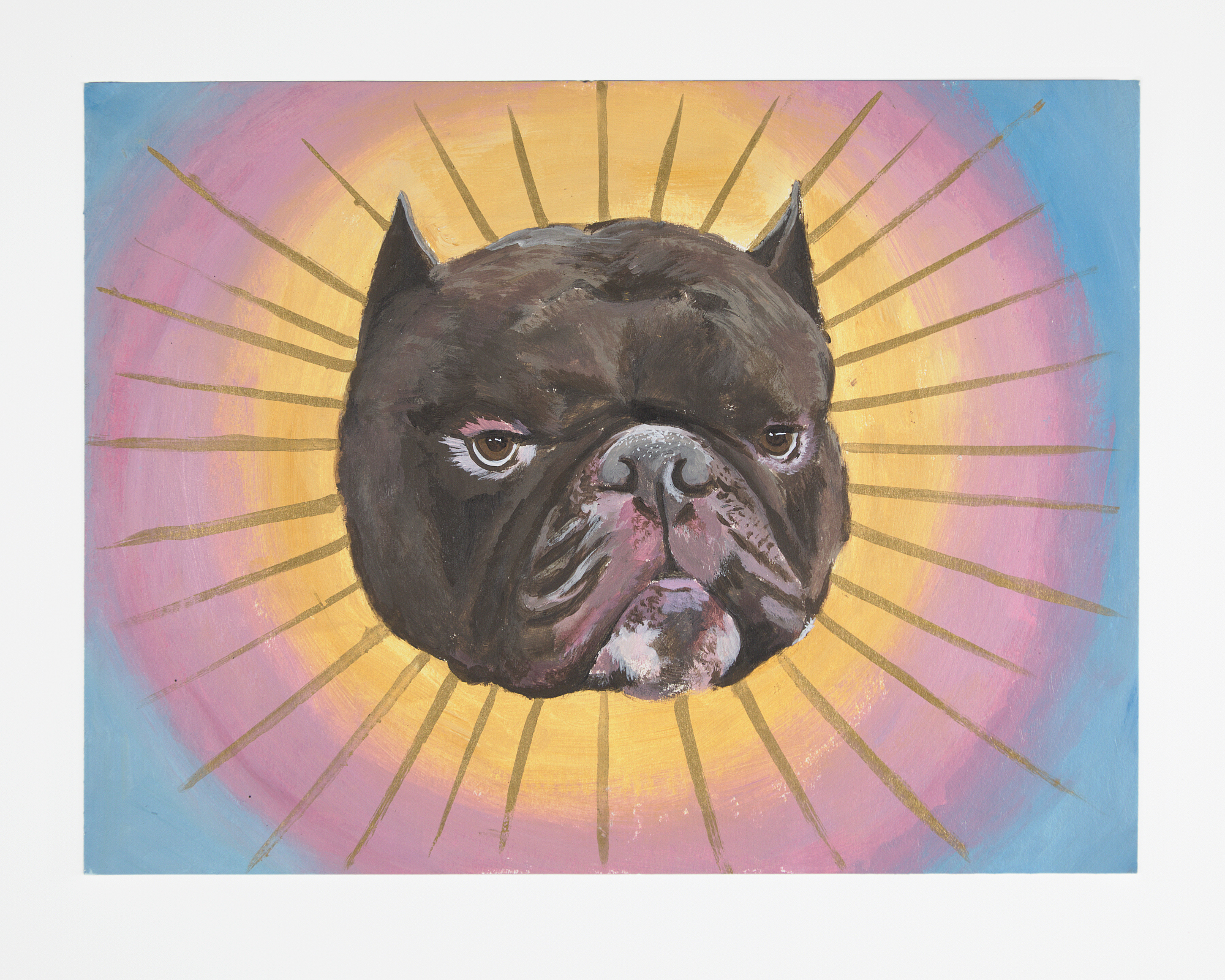 doghalo