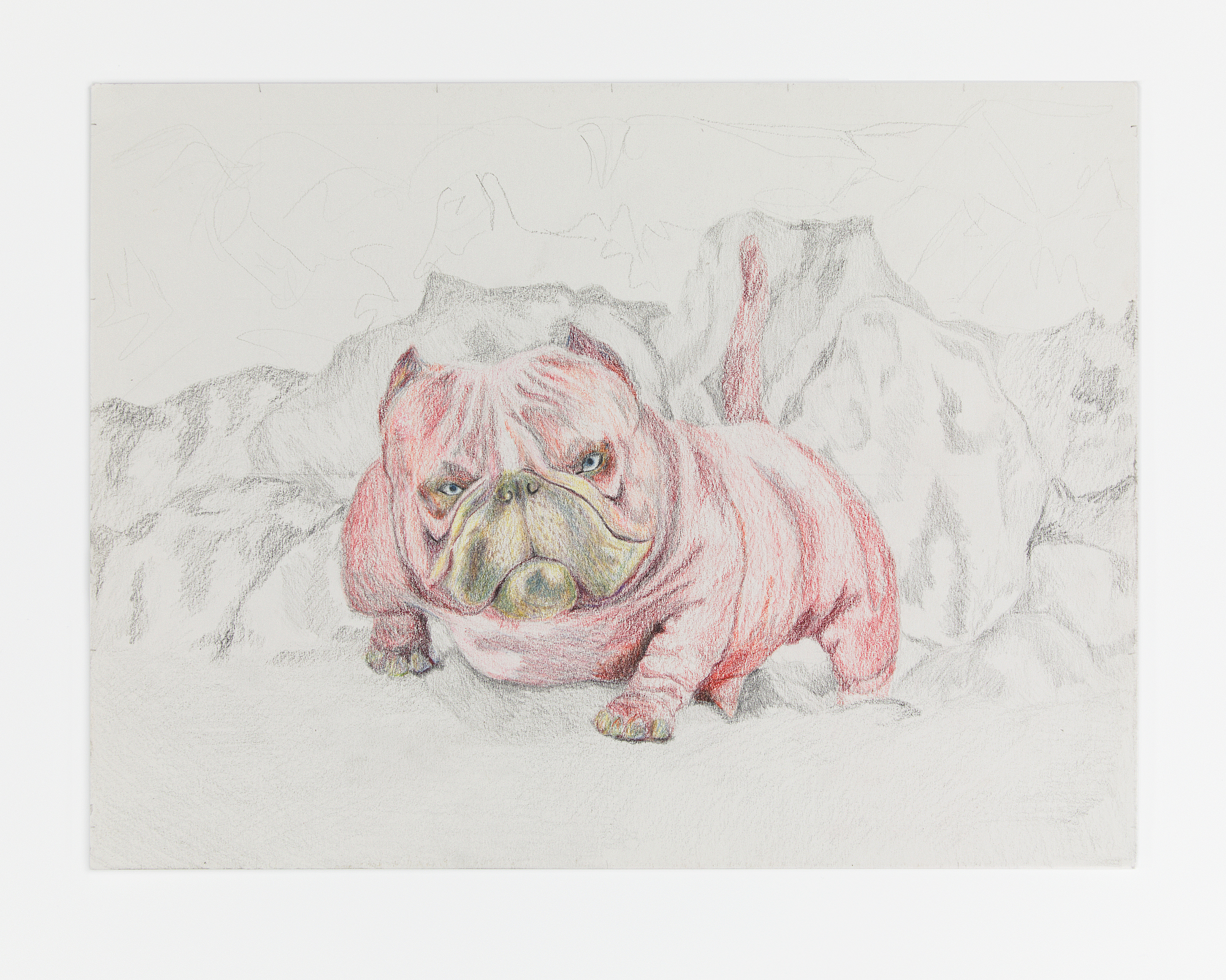 doghalo